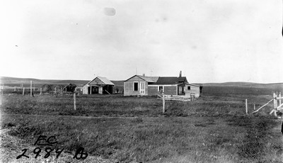 Whitetail Farm