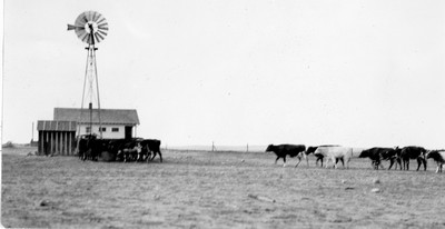 Cloverleaf Farm