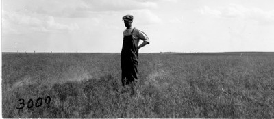 Cloverleaf Farm - Fields