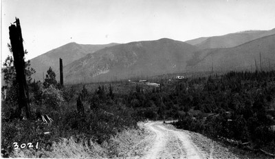 Wonlo Farm - Burned Forest