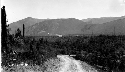 Wonlo Farm - Burned Forest