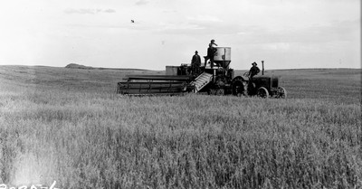 Davis Farm - Combine