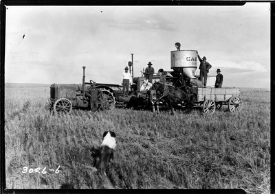 Davis Farm - Combine