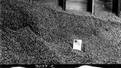 Grain