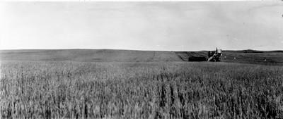 Davis Farm