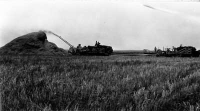 Lone Warrior Farm - Wheat
