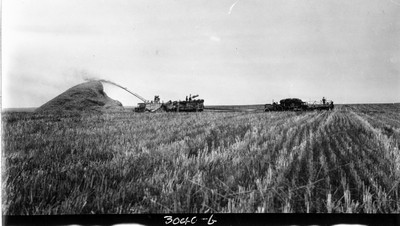 Lone Warrior Farm - Wheat