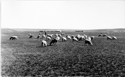 Richland Farm