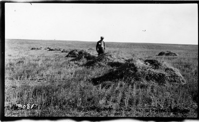 Haystacks