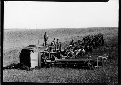 Big Teams - Threshing