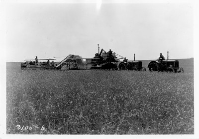 Combining Wheat