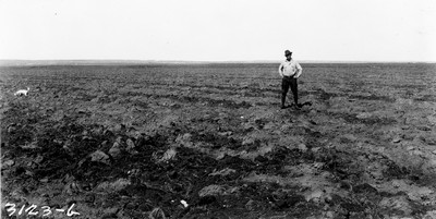 Lone Warrior Farm - Fallow