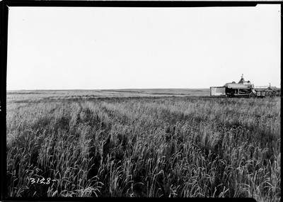 Combine Harvester Thresher