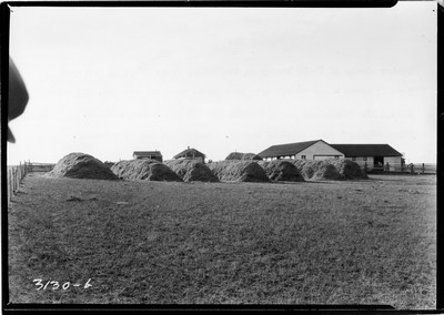 Taiyan Farm - Header Barge Stacks