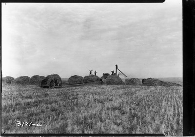 Taiyan Farm - Header Barge Stacks