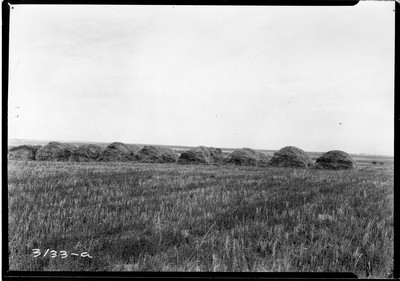 Taiyan Farm - Header Barge Stacks