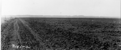 Taiyan Farm