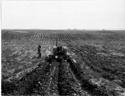 Davis Farm - Fallow