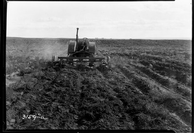 Davis Farm - Fallow