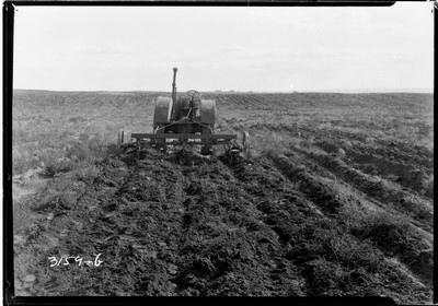 Davis Farm - Fallow