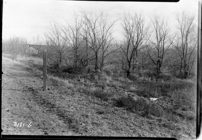 Dayhoff Brothers Farm