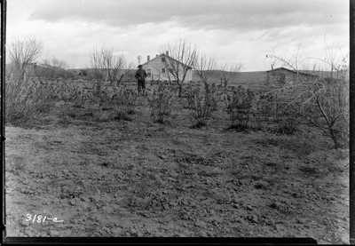 Dayhoff Brothers Farm