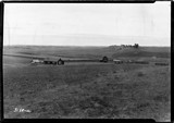 Farmstead