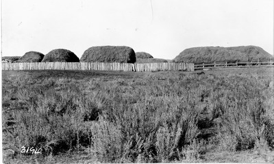 Haystacks