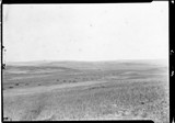 Richland Farm - Alfalfa