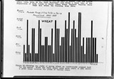 Chart - Wheat