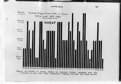 Chart - Wheat