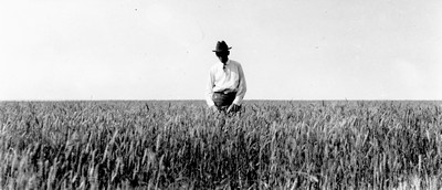 Lone Warrior Farm - Wheat
