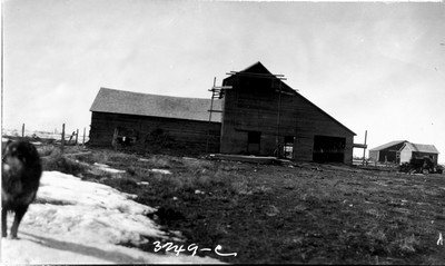 Cloverleaf Farm - Barn