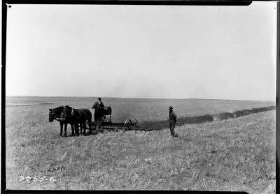 Lone Warrior Farm - Stubble Burning