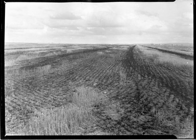 Lone Warrior Farm - Stubble Burning