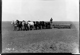 Cloverleaf Farm - Big Teams