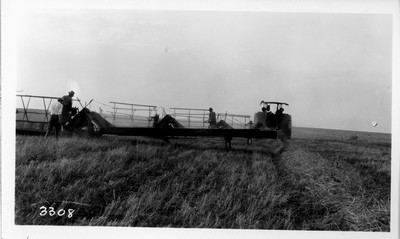 Campbell Farm - Harvesting