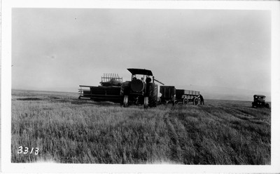 Campbell Farm - Harvesting
