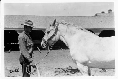 Big Teams - Harness Equipment