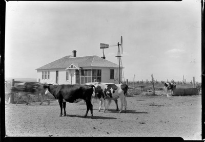 Fairway Company Farmhouse