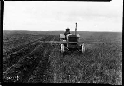 Davis Farm - Corn