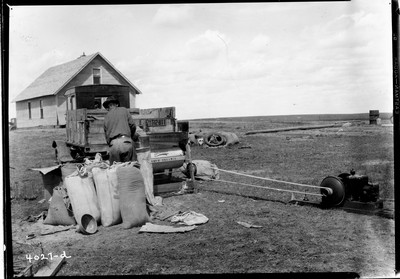 Lone Warrior Farm - Wheat