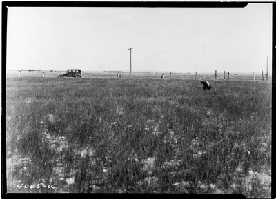 Valier and Sun River