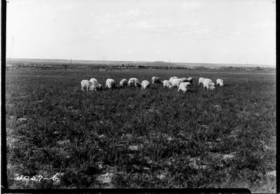 Valier and Sun River