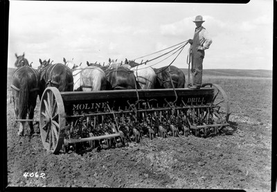 Cartee Bureau Farm