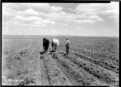 Horse Drawn Farm Machinery