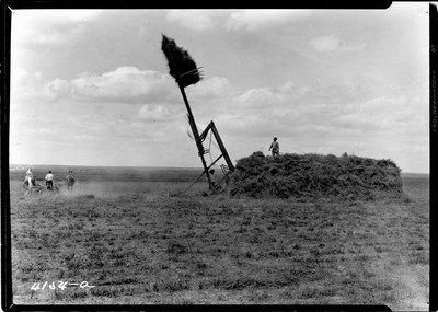 Davis Farm - Buck Rake
