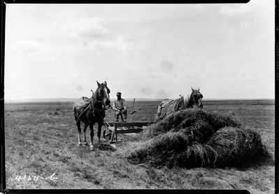 Davis Farm - Buck Rake