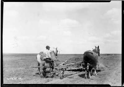 Davis Farm - Buck Rake