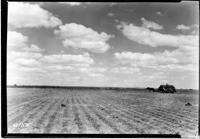 Davis Farm - Buck Rake